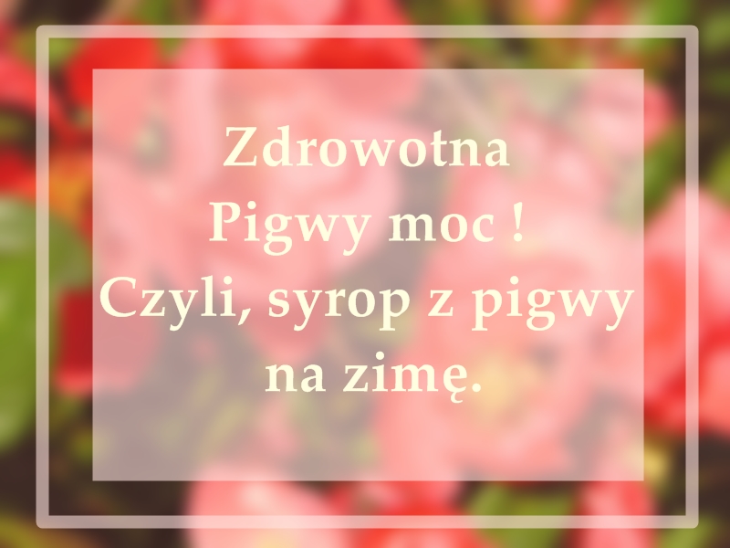 zdrowotna-pigwy-moc-czyli-syrop-z-pigwy-na-zime